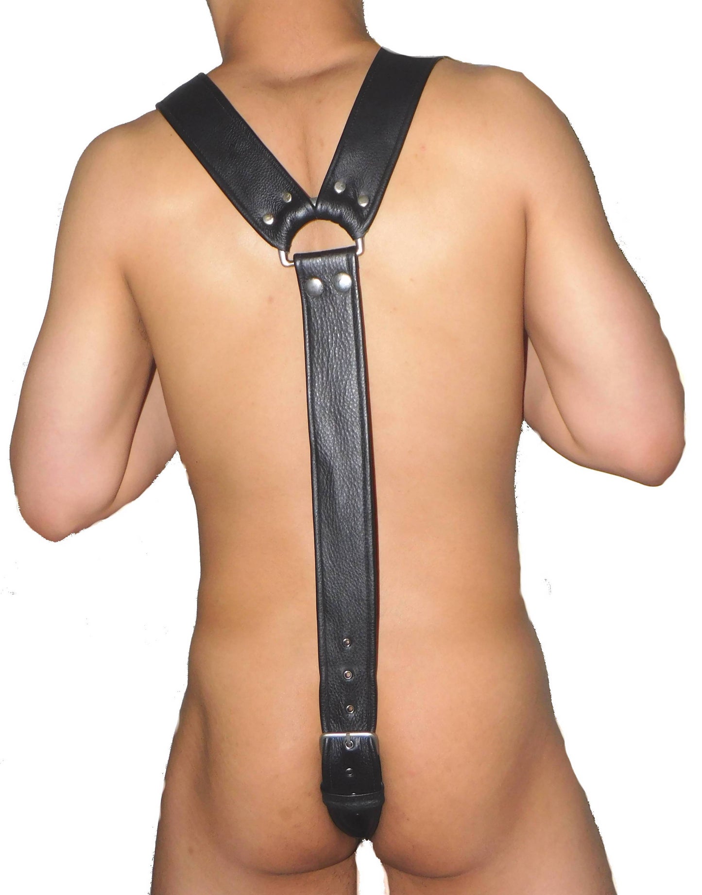 All Around Leather Harness