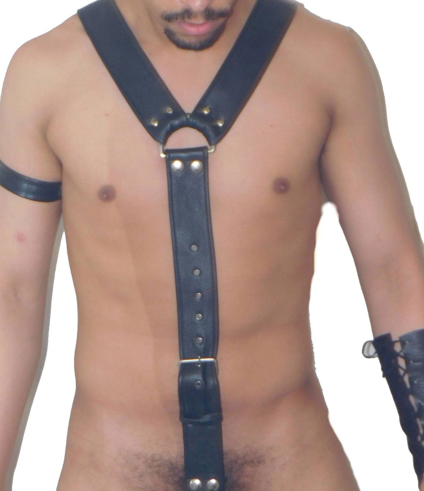 All Around Leather Harness