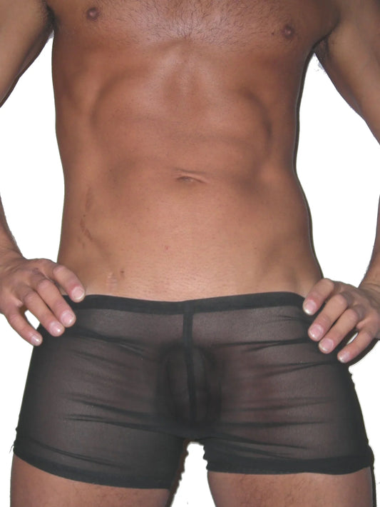 Sheer Mesh Brief Shorts