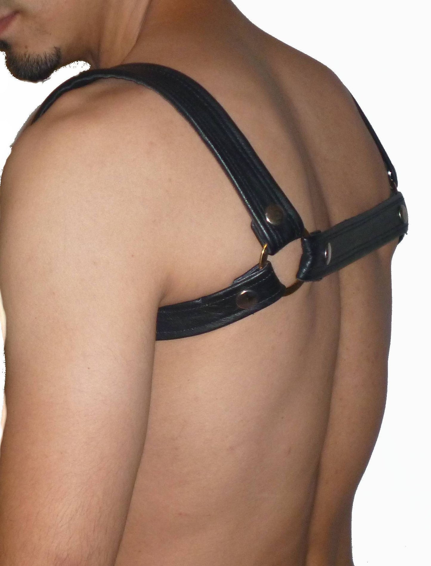 Pec Leather Harness