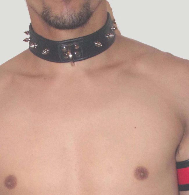 Leather Spiked Collar