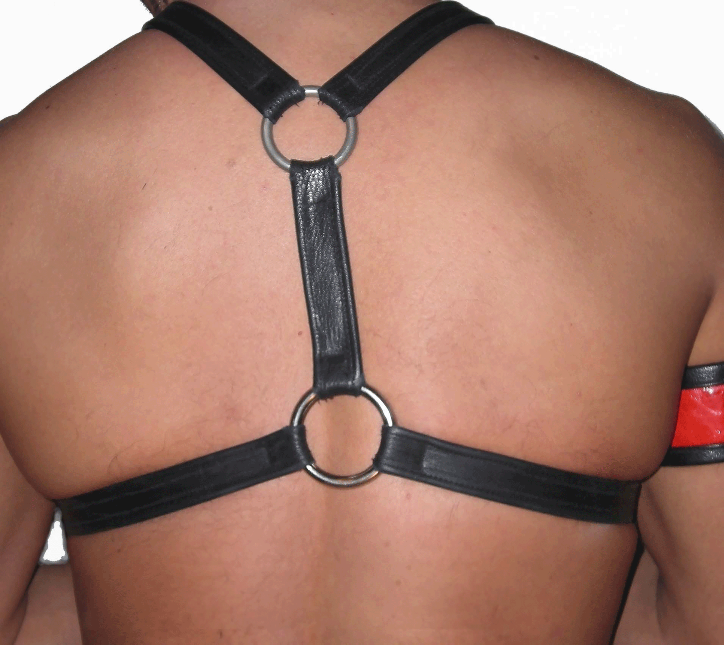 Adjustable Standard Leather Harness