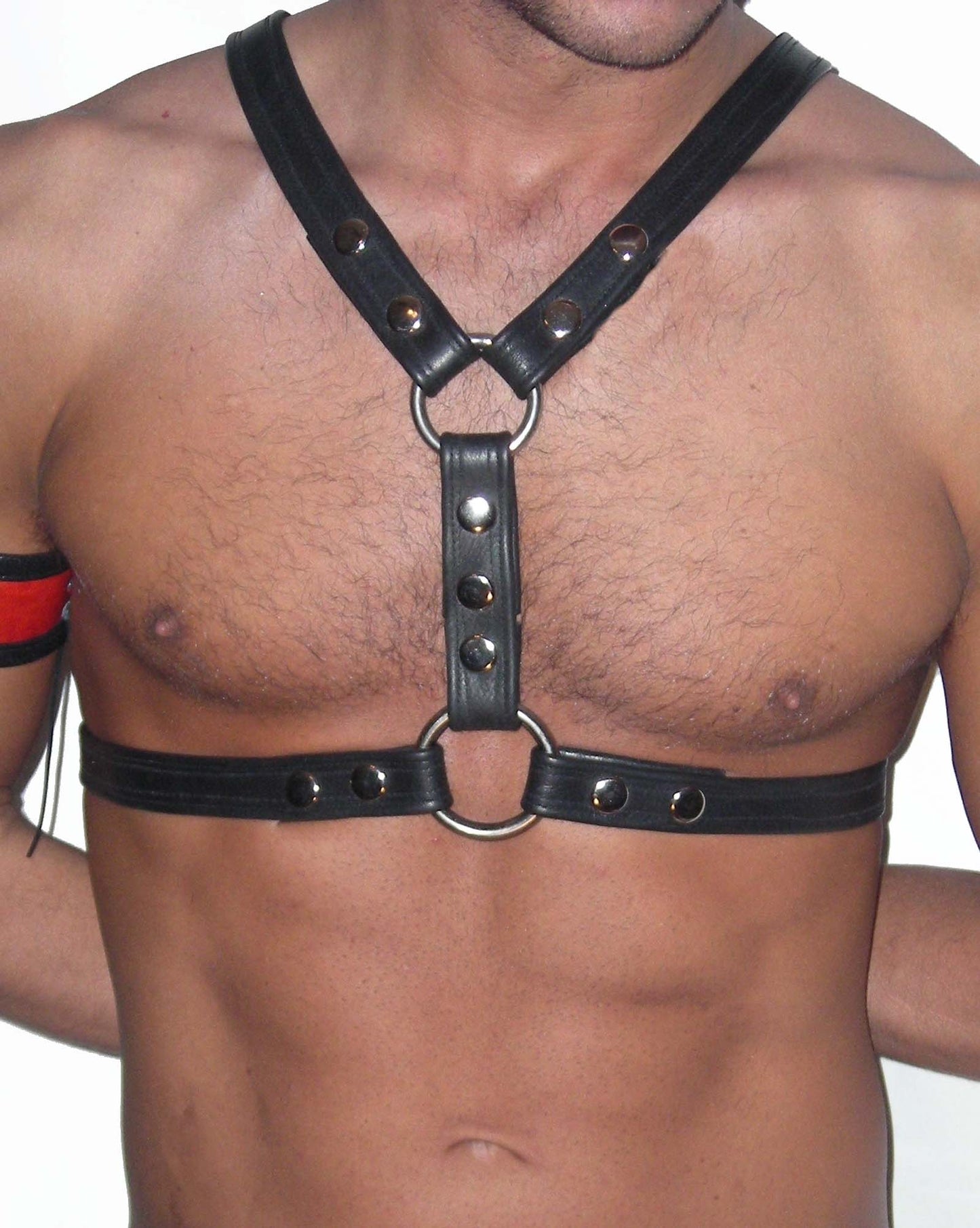 Adjustable Standard Leather Harness