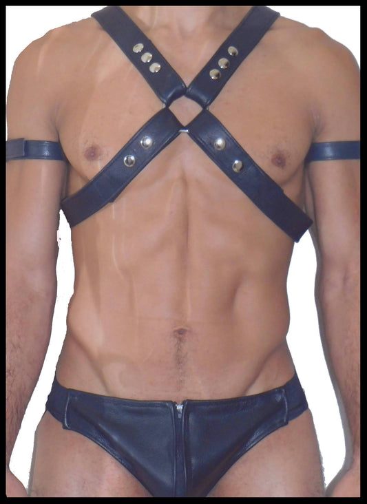 X Leather Harness