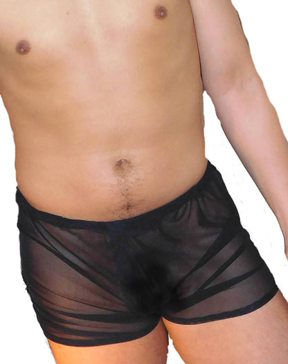 Sheer Mesh Boxers