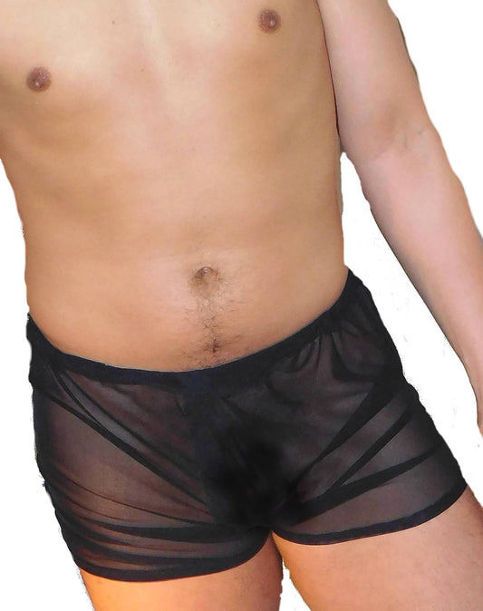Sheer Mesh Boxers