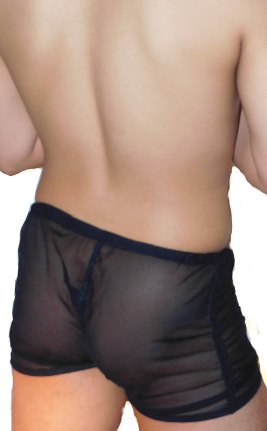 Sheer Mesh Boxers