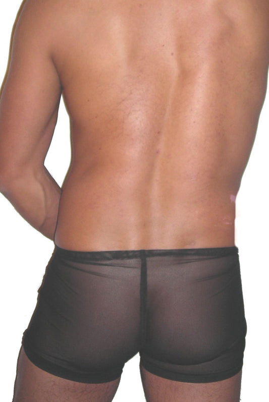 Sheer Mesh Brief Shorts