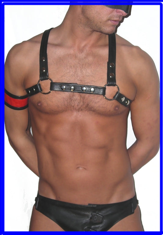 Pec Leather Harness